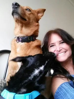 Critter Care pet photo 10