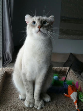 Pet 2 from Carlene P.